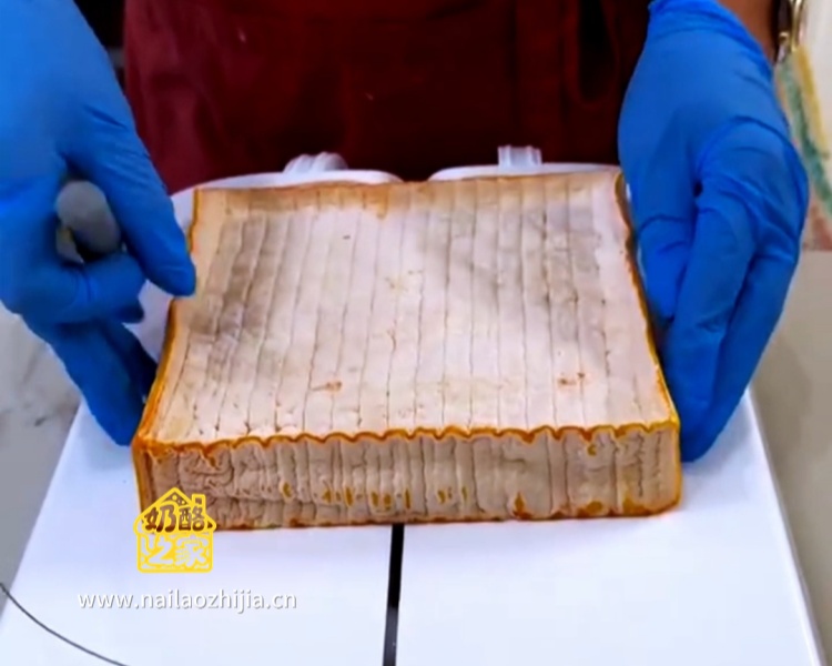 奶酪之家 布雷比鲁斯·达让塔尔奶酪（Brebirousse d'Argental）整体外观展示图