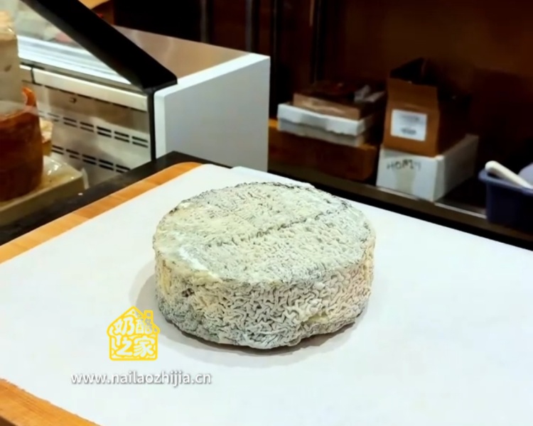 奶酪之家 灰猫头鹰山羊奶酪(Grey Owl) 整体外观展示图