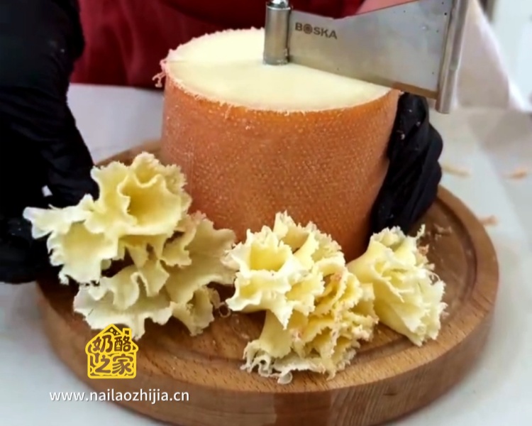 奶酪之家 僧侣头奶酪(Tête de Moine)整体外观展示图