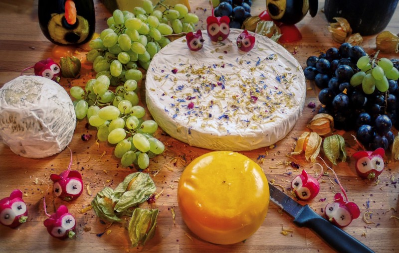 奶酪之家主页装饰的奶酪轮