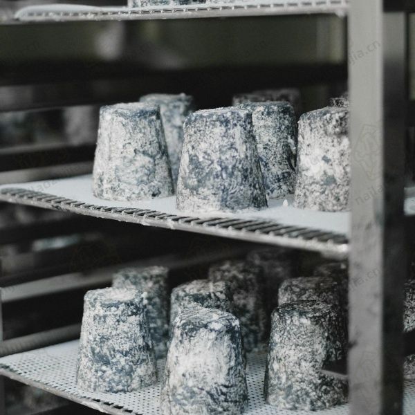 奶酪之家  蓝纹奶酪发酵