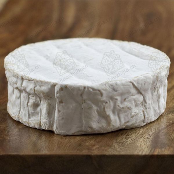 奶酪之家 卡芒贝尔奶酪（Camembert Du Bocage Cheese）整体图
