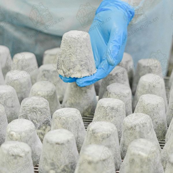 奶酪之家 发酵过程中的奶酪