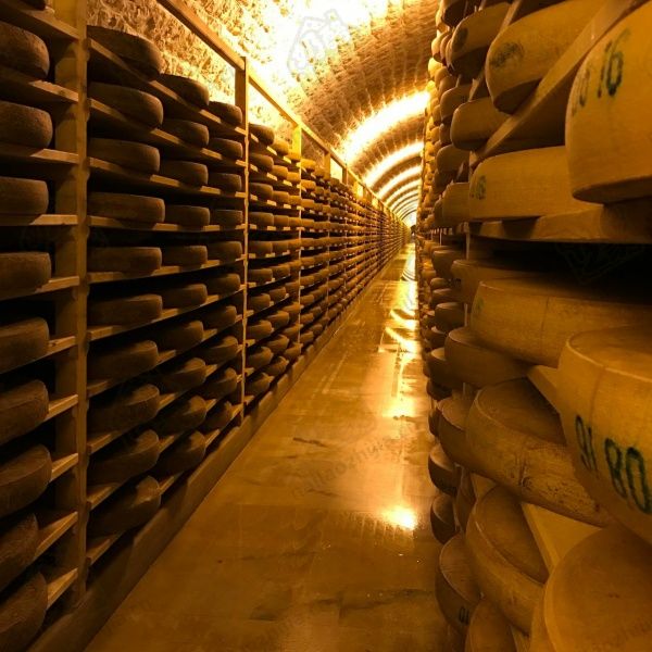 奶酪之家奶酪熟成室（ Cheese Ripening Room）
