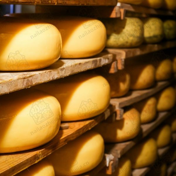 奶酪之家 奶酪熟成室 (Cheese Ripening Room)