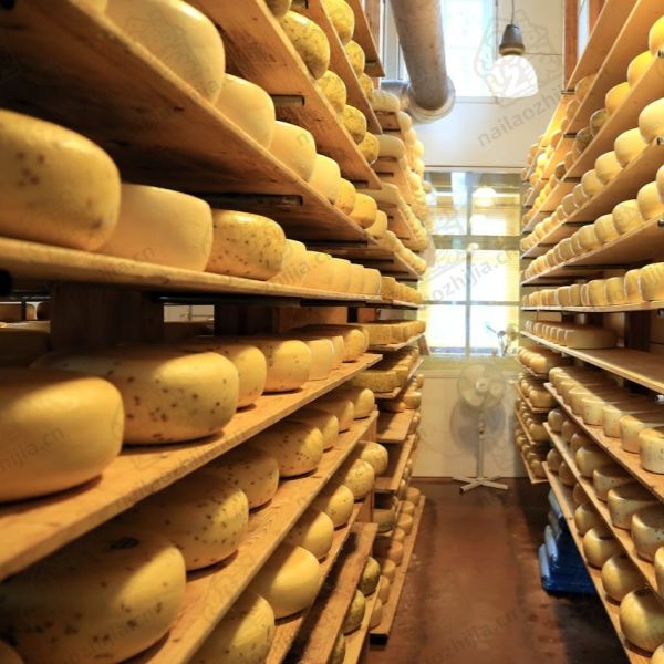 奶酪之家奶酪熟成室（ Cheese Ripening Room）
