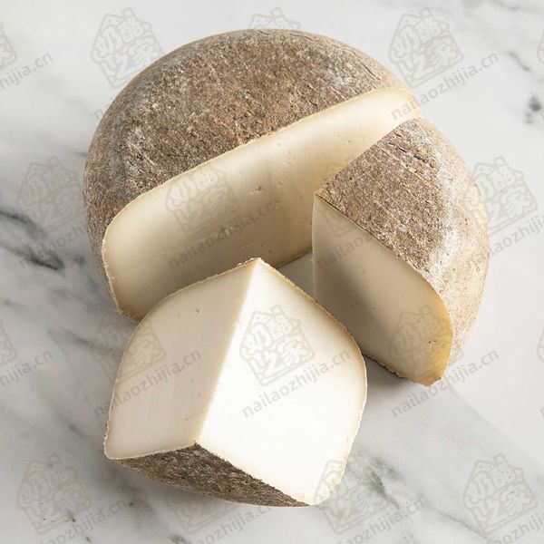 奶酪之家  伽洛特萨奶酪（Garrotxa Cheese）半切图