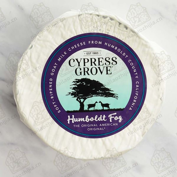 奶酪之家 洪堡雾奶酪（Humboldt Fog Cheese）整体图