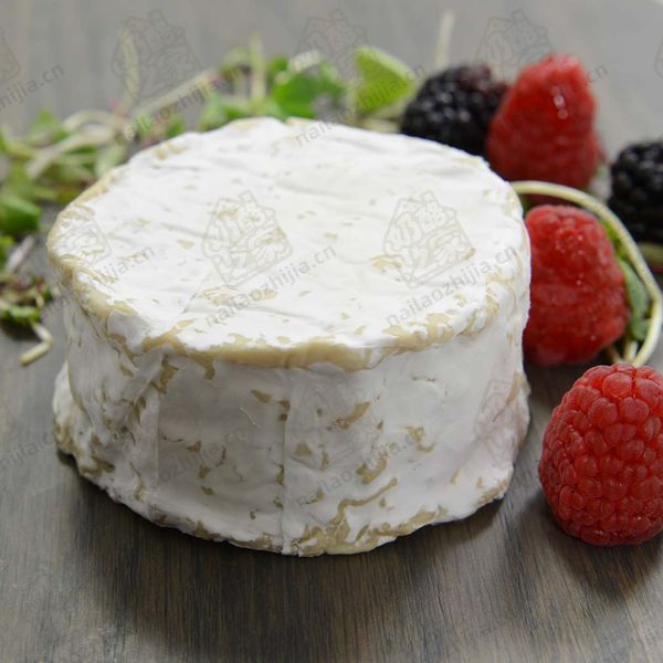 奶酪之家  湖效应奶酪（Lake Effect Cheese）整体图