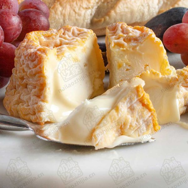 奶酪之家 朗格勒奶酪(AOC)-(Langres AOC Cheese)半切图