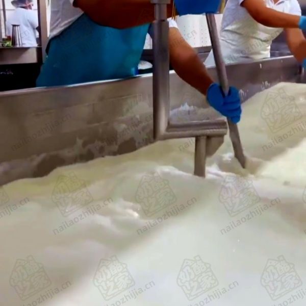 奶酪之家牛奶凝乳（Milk Curd）
