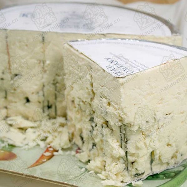 奶酪之家 雷耶斯角蓝纹奶酪（Point Reyes Original Blue Cheese）半切图