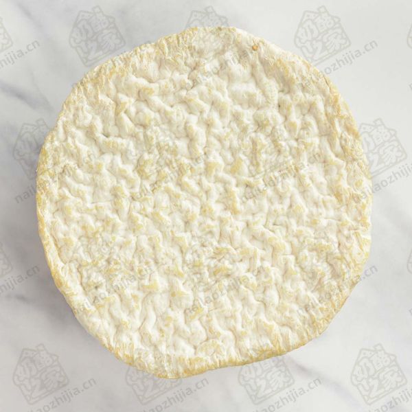 奶酪之家  查比舒风格奶酪（Shabby Shoe Chabichou Style Cheese）整体图