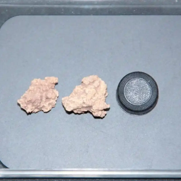 奶酪之家 最早的奶酪实物形态(The earliest physical form of cheese)