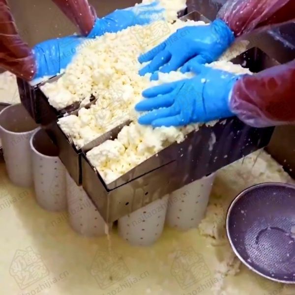 奶酪之家 奶酪之家乳清分离     （Whey Separation ）

